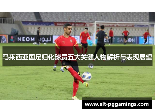 马来西亚国足归化球员五大关键人物解析与表现展望
